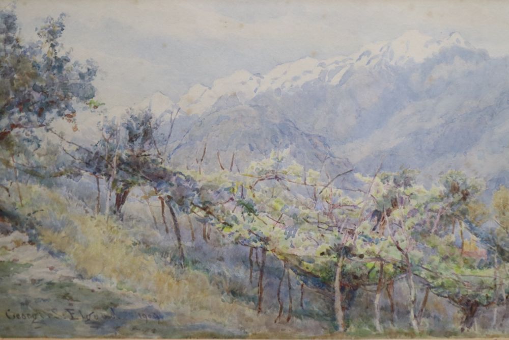 George Samuel Elgood (1851-1943), watercolor, Vineyards above stream, signed and dated 1909, sketch exhibition label verso, 16 x 26cm